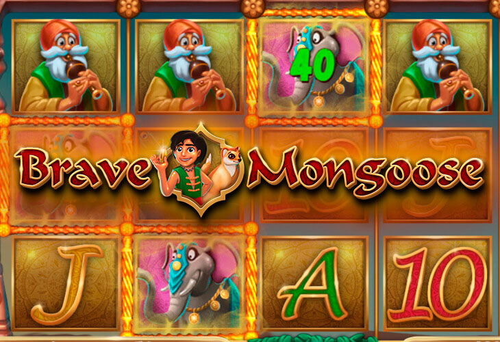 Brave Mongoose